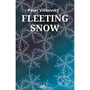 Fleeting Snow - Pavel Vilikovský