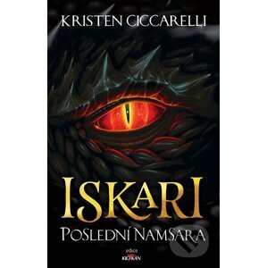Poslední Namsara - Kristen Ciccarelli