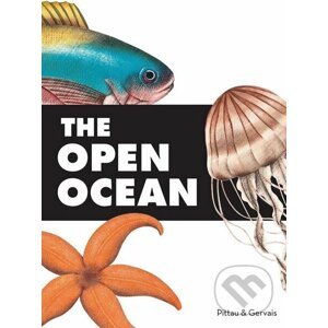 The Open Ocean - Francesco Pittau, Bernadette Gervais