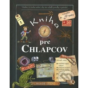 Kniha pre chlapcov - Célia Gallais, Clémence Roux de Luze, Michele Lecreux, Jocelyn Millet (ilustrátor)