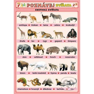 Poznávej zvířata - Exotická zvířata - Petr Kupka