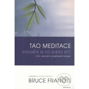 Tao meditace - Bruce Frantzis