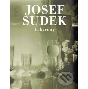 Labyrinty - Josef Sudek