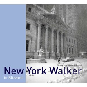 New York Walker in Blizzard - Martin Froyda