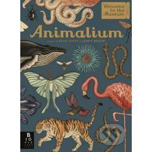 Animalium - Jenny Broom, Katie Scott (ilustrácie)
