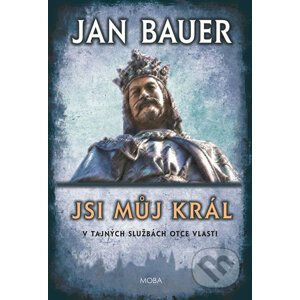 Jsi můj král - Jan Bauer