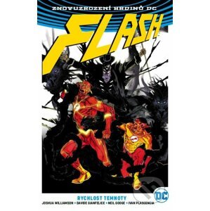 Flash 2: Rychlost temnoty - Joshua Williamson, Davide Gianfelice (Ilustrácie), Jorge Corona (Ilustrácie), Neil Googe (Ilustrácie), Carmine Di Giandomenico (Ilustrácie)
