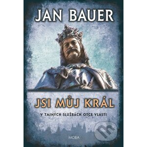 Jsi můj král - Jan Bauer