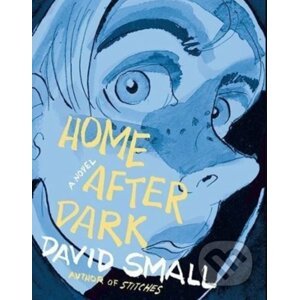 Home After Dark - David Small