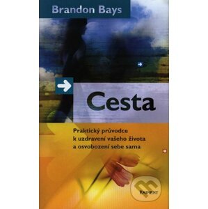 Cesta - Brandon Bays