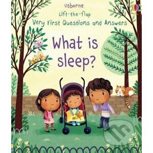 What is Sleep? - Katie Daynes, Marta Alvarez Miguens (ilustrácie)