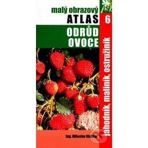 Malý obrazový atlas odrůd ovoce 6 - Miloslav Richter
