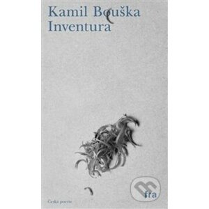 Inventura - Kamil Bouška