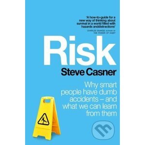 Risk - Steve Casner