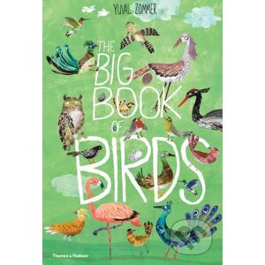 The Big Book of Birds - Yuval Zommer
