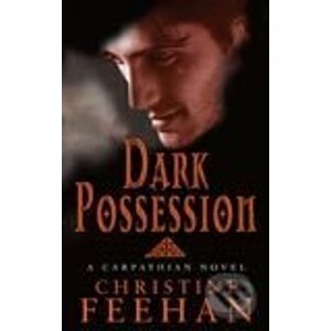 Dark Possession - Christine Feehan