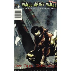 Wall after wall - Dario M. Gulli, Alberto Ponticelli