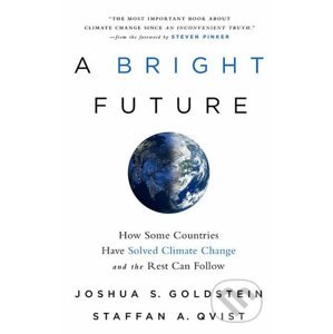 A Bright Future - Joshua S. Goldstein
