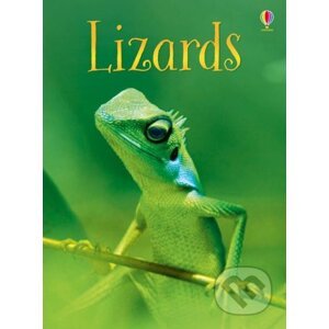 Lizards - James Maclaine, Paul Parker (ilustrácie)