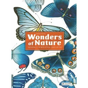 Wonders of Nature - Florence Guiraud
