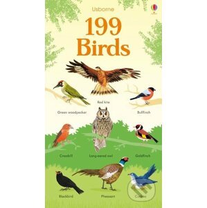 199 Birds - Hannah Watson, Mar Ferraro (ilustrácie), Nikki Dyson (ilustrácie)