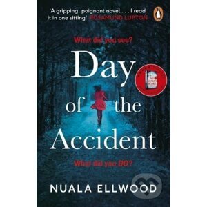 The Day of the Accident - Nuala Ellwood