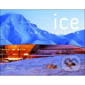 Ice Architecture - Michelle Galindo