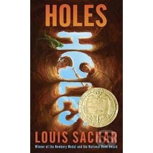 Holes - Louis Schafer