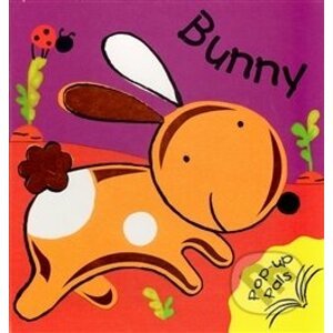 Bunny - Pop Up Book - 3C Publishing