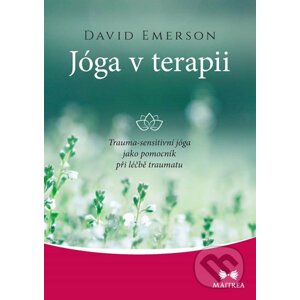 Jóga v terapii - David Emerson