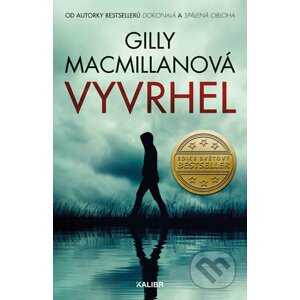 Vyvrhel - Gilly Macmillan
