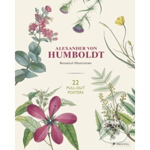 Alexander von Humboldt: Botanical Illustrations - Otfried Baume