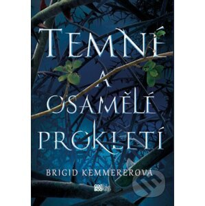 E-kniha Temné a osamělé prokletí - Brigid Kemmerer