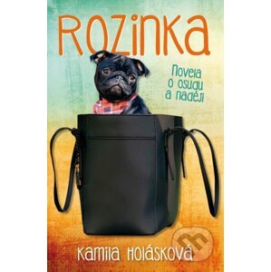 E-kniha Rozinka - Kamila Holásková