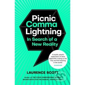 Picnic Comma Lightning - Laurence Scott