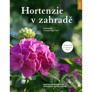 Hortenzie v zahradě - Martina Meidingerová
