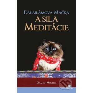 E-kniha Dalajlámova mačka a sila meditácie - David Michie