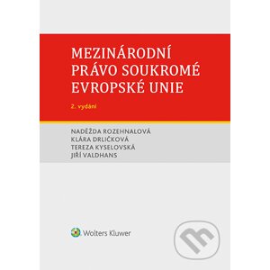 E-kniha Role veřejného a soukromého sektoru v inovačním prostředí - Jan Stejskal