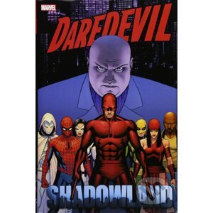 Daredevil - Andy Diggle, Anthony Johnston, Zeb Wells