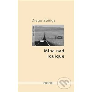 Mlha nad Iquique - Diego Zúñiga