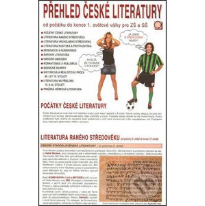Přehled české literatury - Dagmar Bradáčová