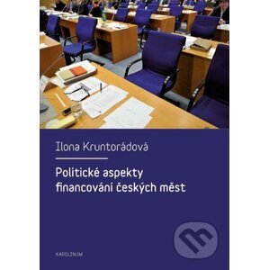 E-kniha Politické aspekty financování českých měst - Ilona Kruntorádová