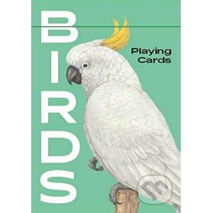 Birds - Ryuto Miyake (ilustrácie)