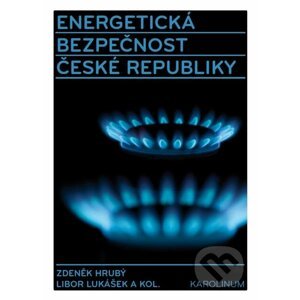 E-kniha Energetická bezpečnost České republiky - Zdeněk Hrubý, Libor Lukášek