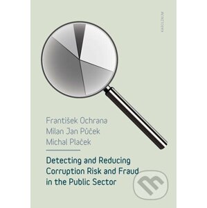 E-kniha Detecting and Reducing Corruption Risk and Fraud in the Public Sector - František Ochrana