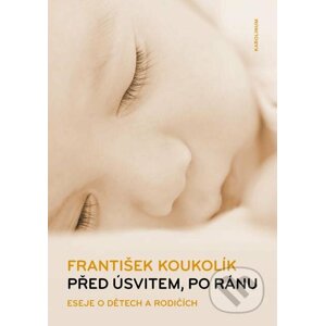 E-kniha Před úsvitem, po ránu - František Koukolík
