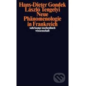 Neue Phänomenologie in Frankreich - Hans-Dieter Gondek, László Tengélyi