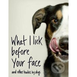 What I Lick Before Your Face - Jamie Coleman