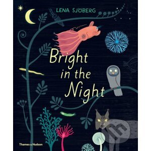 Bright in the Night - Lena Sjöberg