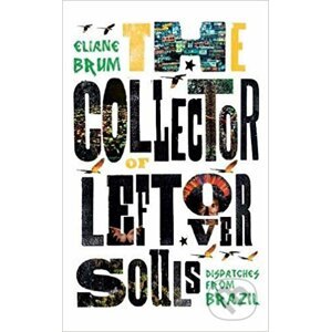 The Collector of Leftover Souls - Eliane Brum, Diane Grosklaus Whitty (Translator